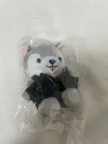 SixTONES 마츠무라 호쿠토 봉제 인형 노키도아 토리이누 굿즈 강아지