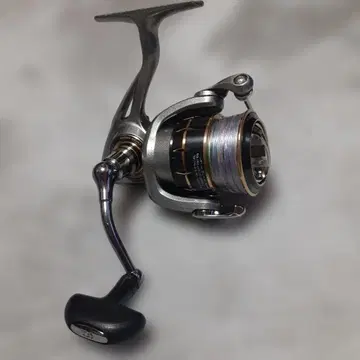 다이와 레갈리스 2500