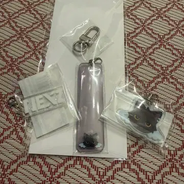 NEXZ JYP 유우 제리유 팝업 워크샵 NEXZOO