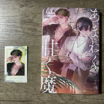 특전 포함 소설판 아마네쿠 아마쿠마 체키풍 카드 라이토