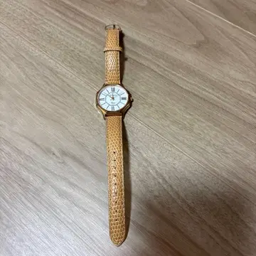 피에르 라니에 손목시계