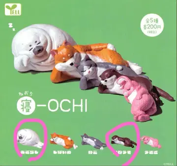 잠자는 OCHI 캡슐 토이 물개 해달