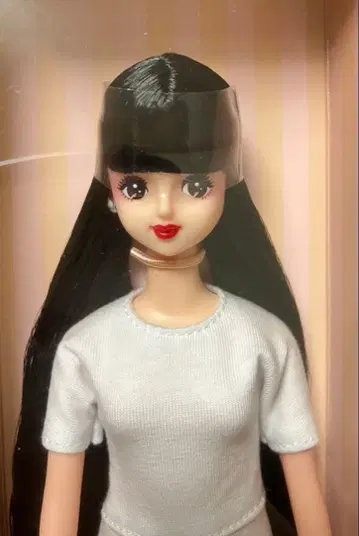 제니 프렌즈 h 리카짱 캐슬 인형