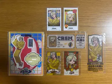 카리스마 테라 범 축제 아크릴 스탠드 폴라로이드풍 카드 특전