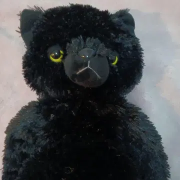 너를 따라갈 거야 냥 검은 고양이 봉제 인형