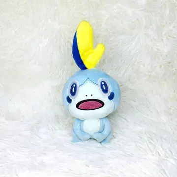 레어 새상품급 포켓몬 물로리 봉제 인형 쿠라스시 한정판 당선품