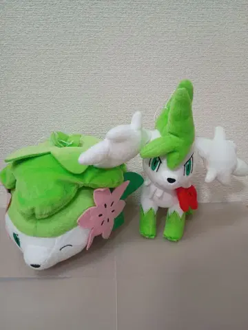 5 11/20 포켓몬 포커스 빅 봉제 인형 셰이미