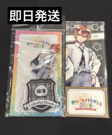 새상품 컬러풀 피치 우리상 아크릴 스탠드 티켓풍 카드 파라피치 2025