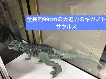 마텔(MATTEL) 쥬라기 월드 슈퍼 빅! 기가노토사우루스