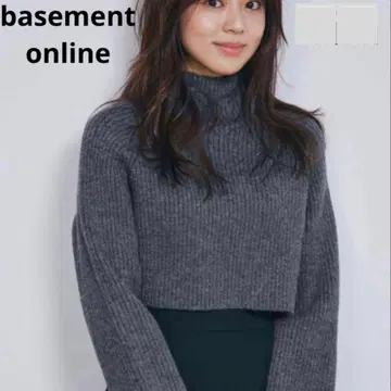 basement online 하이넥 리브 크롭 니트 숏 기장