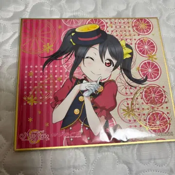 야자와 니코 색지