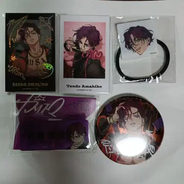 카리스마 텐도우 텐히코 머리끈 폴라로이드 캔뱃지