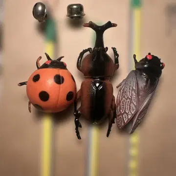 곤충 디자인 기념품 연필