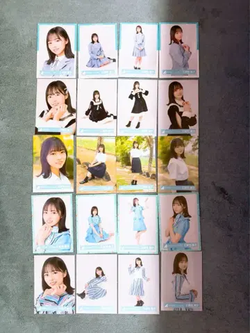 쇼겐지 요코 브로마이드 5종 컴프 세트