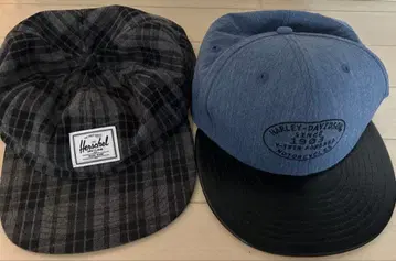 Herschel 캡 2개