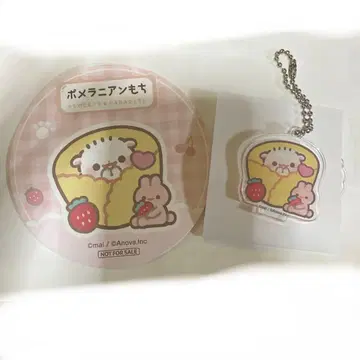 포메라니안 모찌 시라타마 스이파라