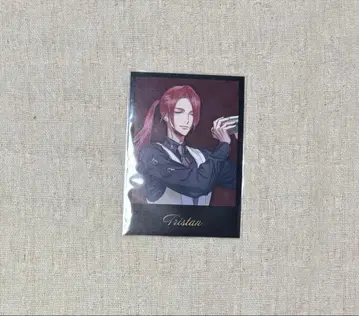 FGO HUB 오리지널 카드 등신 트리스타