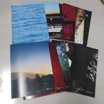 [ 10권 세트 ] 엘리펀트 카시마시 뉴스레터 PAO No.50~69