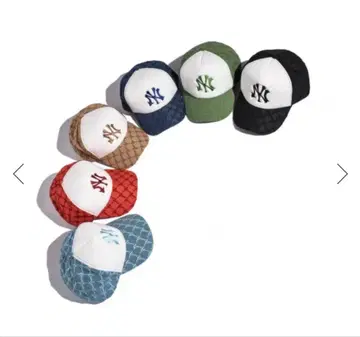 NV 모노그램 캡 가격 인하 있음