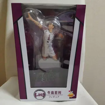 우시지마 와카토시 액션 피규어 미개봉 새상품