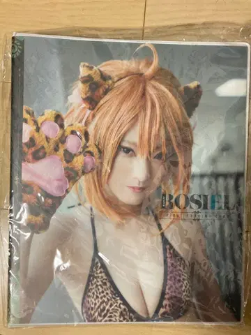 카쇼 로시엘 트레이딩 카드 로시냔 카루타 바인더