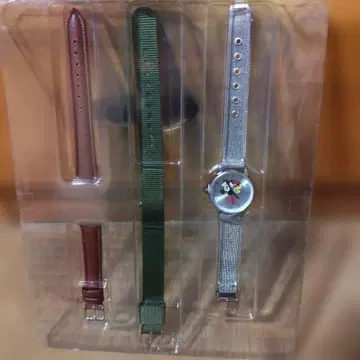 교환 가능한 스트랩 포함 손목시계 세트