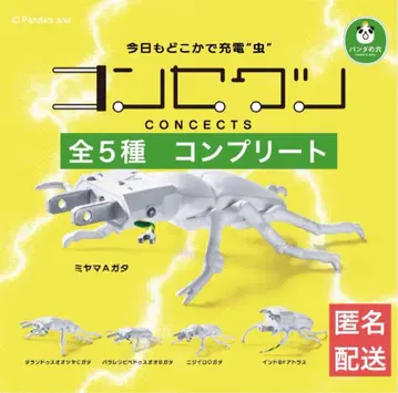 팬더의 구멍 콘세크츠 전 5종 세트