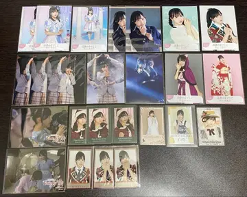 타카네노 나데시코 브로마이드