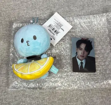 JOCHUM 제오참 마이쿤 & WDWG 트레이딩 카드