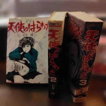 천사의 내장 전 3권