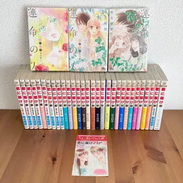 너에게 닿기를 전권 세트 전 30권 + 운명인 전 3권