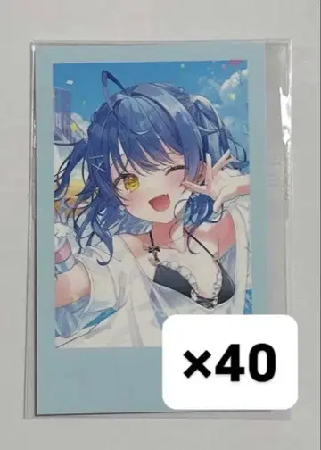 니지산지 아마미야 코코로 생일 굿즈 2025 폴라로이드풍 카드 40장