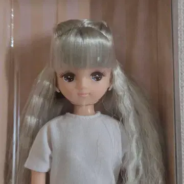 2021년 스프링 컬렉션 모델 키라짱 V4 리카짱 캐슬