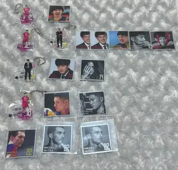 배구 도쿄 그레이트 베어스 베어 가챠 스티커 묶음 판매