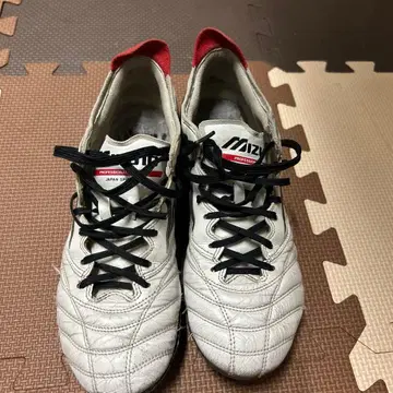 모렐리아 네오 3 25.5