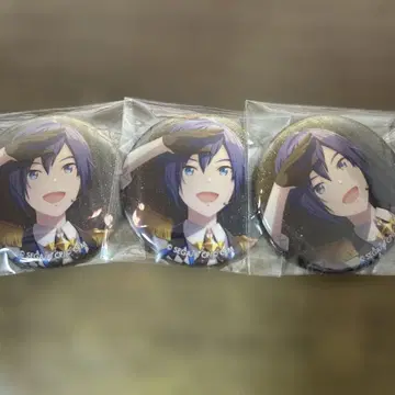 프로세카 KAITO 13b