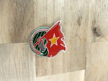 베트남 국기 핀 배지