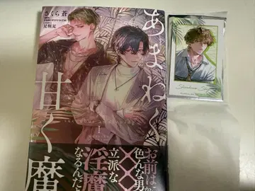 혜택 포함 소설판 아마네쿠 아마쿠마 체키풍 카드 시라카와 슈지