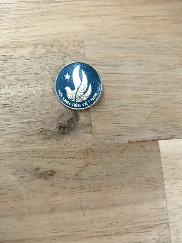 호 신 비엣남 핀 배지