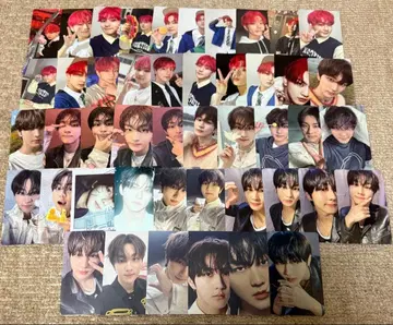 ENHYPEN 정원 트레카세트