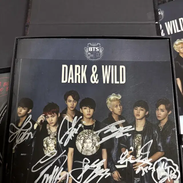방탄소년단 Dark&Wild 앨범