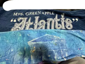 Mrs.GREEN APPLE 타월