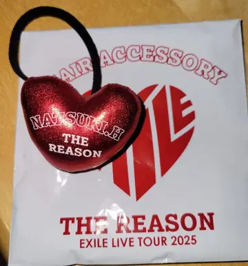 THE REASON 하트형 액세서리