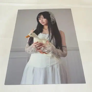 노기자카46 이케다 에레나 개인전 오리의 꿈 엽서 12