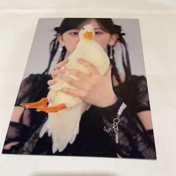 노기자카46 이케다 에레나 개인전 오리의 꿈 엽서 13