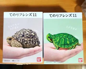 테노리 프렌즈 11