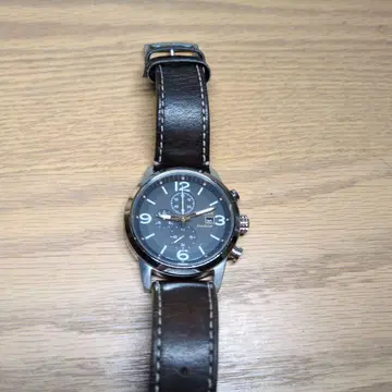 시티즌 에코 드라이브