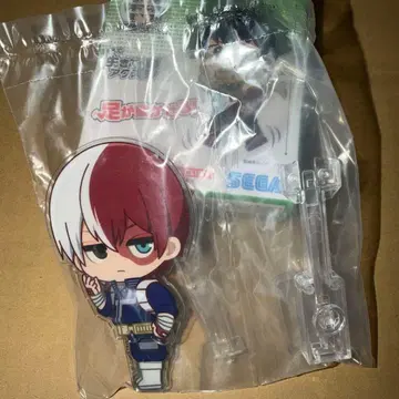 나의 히어로 아카데미아 액토돌 토도로키 쇼토