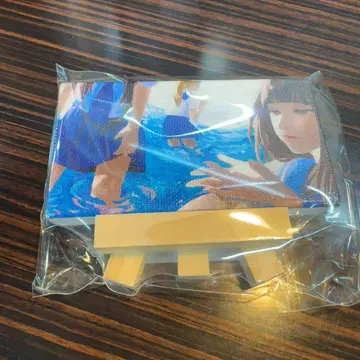 노기자카46 이케다 에레나 개인전 오리의 꿈 캔버스 보드 3