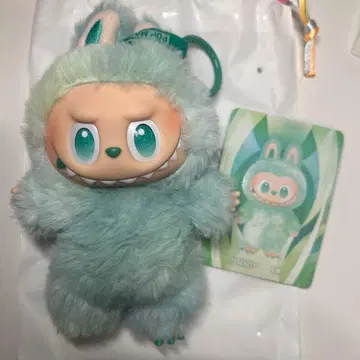 러브브 에너지 에너지 그린 그린